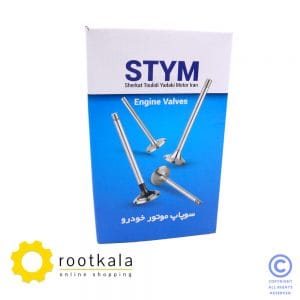 Cummins SA6D102 Engine Valve