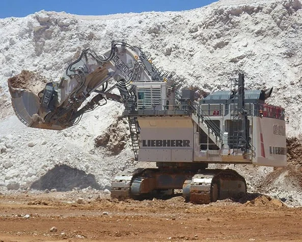 چهارمین بیل مکانیکی غول پبکر جهان ، بیل مکانیکی Liebherr R9800
