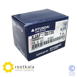 ترموستات بیل مکانیکی هیوندای R-170